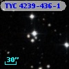TYC 4239-436-1