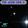TYC 4239-594-1