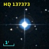 HD 137373