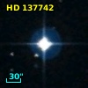HD 137742