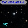 TYC 4239-678-1