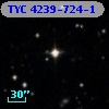 TYC 4239-724-1