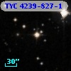 TYC 4239-827-1