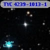 TYC 4239-1013-1