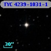 TYC 4239-1031-1
