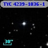 TYC 4239-1036-1