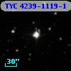 TYC 4239-1119-1