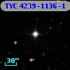 TYC 4239-1136-1