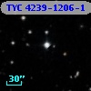 TYC 4239-1206-1