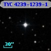 TYC 4239-1239-1