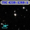 TYC 4239-1289-1