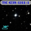 TYC 4239-1311-1