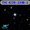 TYC 4239-1340-1