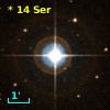 *  14 Ser