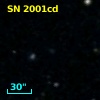 SN 2001cd