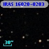 IRAS 16020-0203