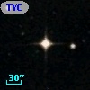 TYC 5032-1019-1