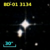 BD-01  3134