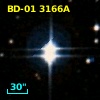 BD-01  3166A