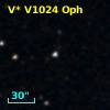 V* V1024 Oph
