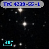 TYC 4239-55-1