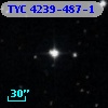 TYC 4239-487-1