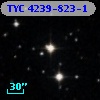 TYC 4239-823-1