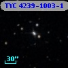 TYC 4239-1003-1