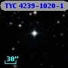 TYC 4239-1020-1