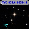 TYC 4239-1039-1