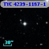TYC 4239-1187-1