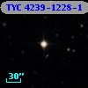 TYC 4239-1228-1