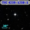 TYC 4239-1250-1