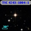 TYC 4243-1004-1