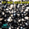 Cl* NGC 6218   KUST     310
