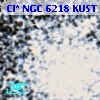 Cl* NGC 6218   KUST     305
