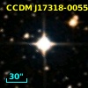 CCDM J17318-0055AB