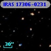 IRAS 17306-0231