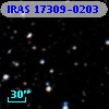 IRAS 17309-0203