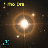 * rho Dra