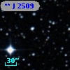 **   J  2509