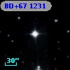 BD+67  1231