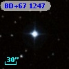 BD+67  1247