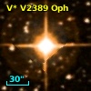 V* V2389 Oph