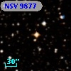 NSV  9877