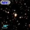 NSV  9935