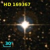 HD 169367