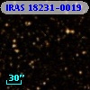 IRAS 18231-0019