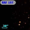 RRF  197