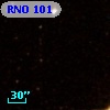 RNO 101